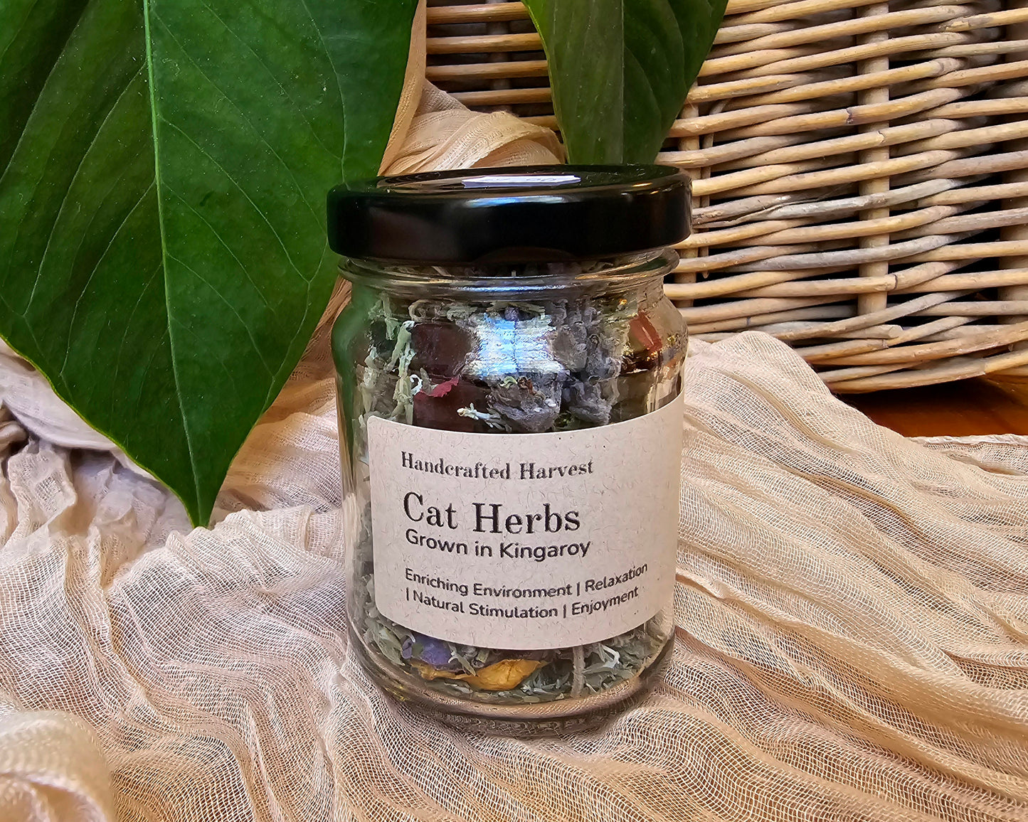 Natural Cat Herb Blend for Relaxation & Play – Catnip, Lavender & More