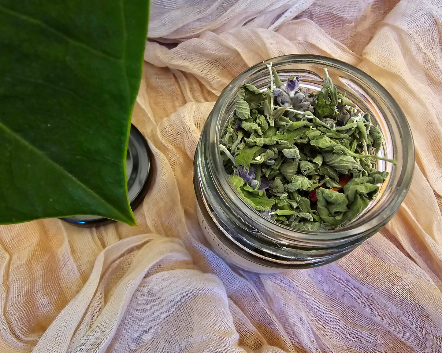 Natural Cat Herb Blend for Relaxation & Play – Catnip, Lavender & More